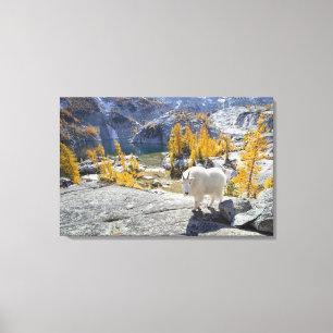 USA, WA, Alpine Lakes WIlderness Enchantments. Canvastryck