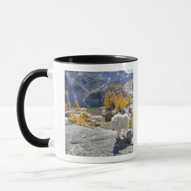 USA, WA, Alpine Lakes WIlderness Enchantments. Mugg (Vänster)