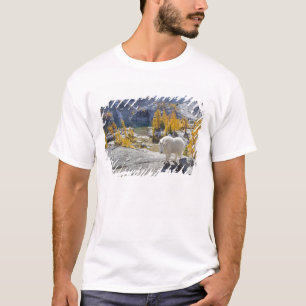 USA, WA, Alpine Lakes WIlderness Enchantments. T Shirt