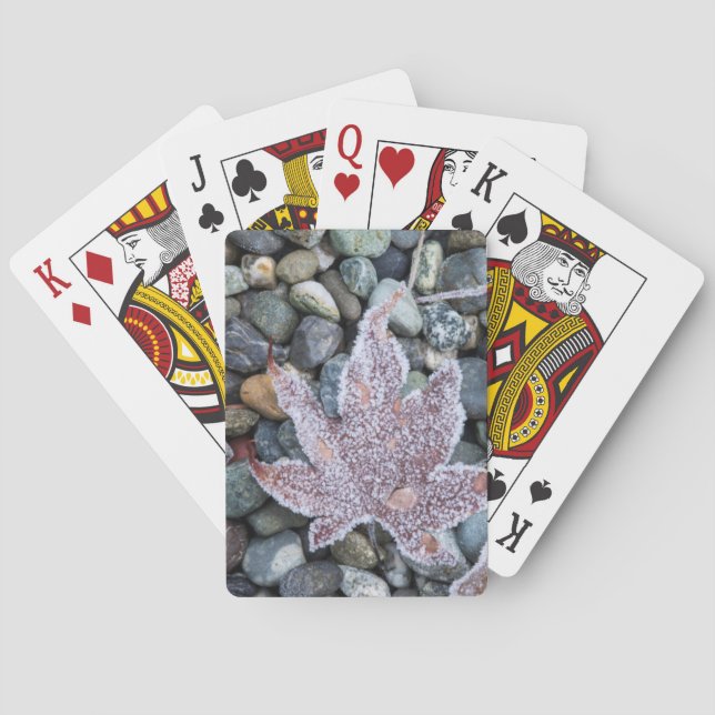 USA, Wa, Bainbridge Island. Tidigt Morgonfrost 2 Casinokort (Baksidan)