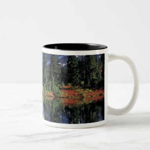 USA, WA, Heather Meadows RA. Mount Shuksan vid Två-Tonad Mugg