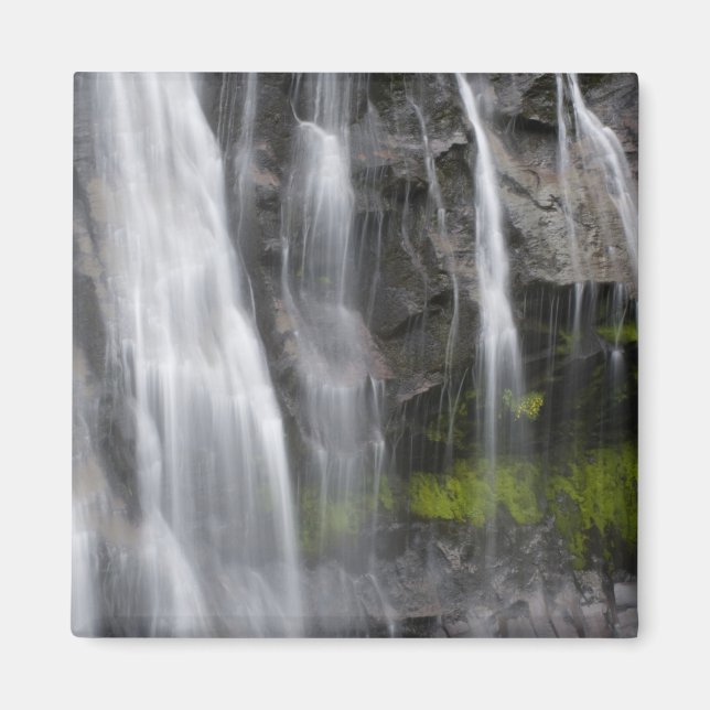 USA, WA, Mt Rainier NP, Narada Falls Magnet (Framsidan)