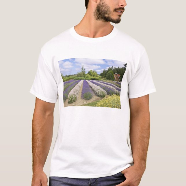 USA, WA, Sequim, Lila Dimma Lavender Farm T-shirt (Framsida)