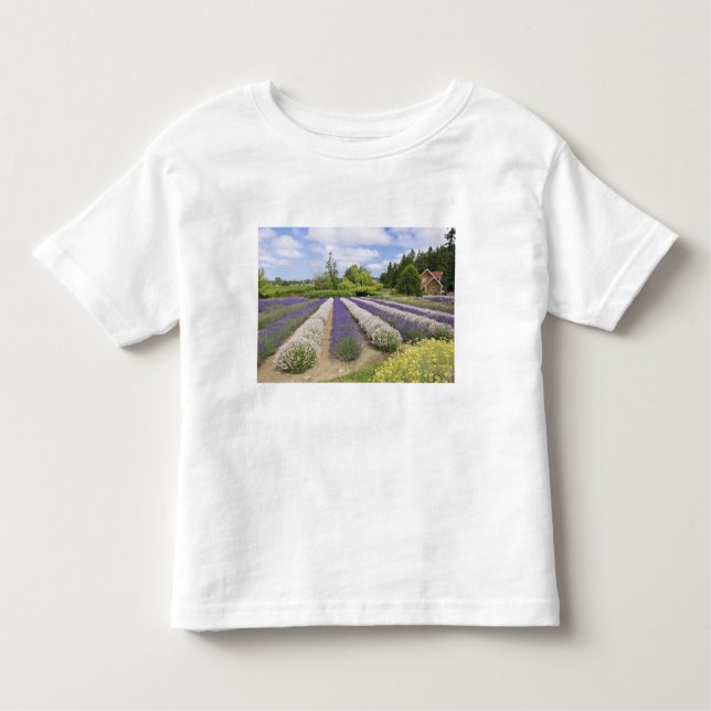 USA, WA, Sequim, Lila Dimma Lavender Farm Tee Shirt (Framsida)