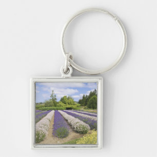 USA, WA, Sequim, Purple Haze Lavender Farm Fyrkantig Silverfärgad Nyckelring