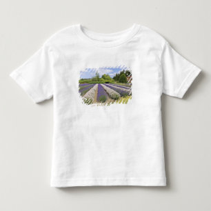 USA, WA, Sequim, Purple Haze Lavender Farm T-shirt
