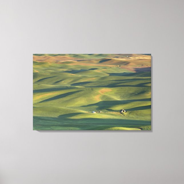 USA, WA, Whitman Co., Palouse åkrar från Canvastryck (Framsida)