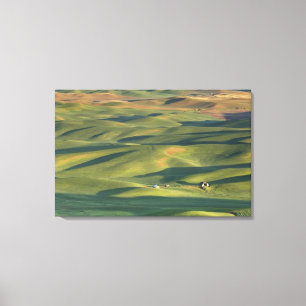 USA, WA, Whitman Co., Palouse åkrar från Canvastryck