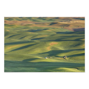USA, WA, Whitman Co., Palouse åkrar från Fototryck