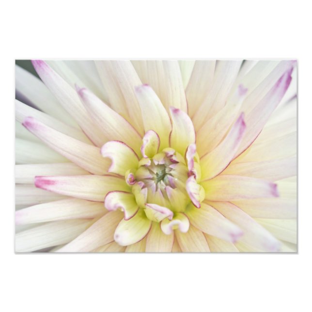 USA, Washington, Bellevue, Bellevue Botanical 2 Fototryck (Framsidan)