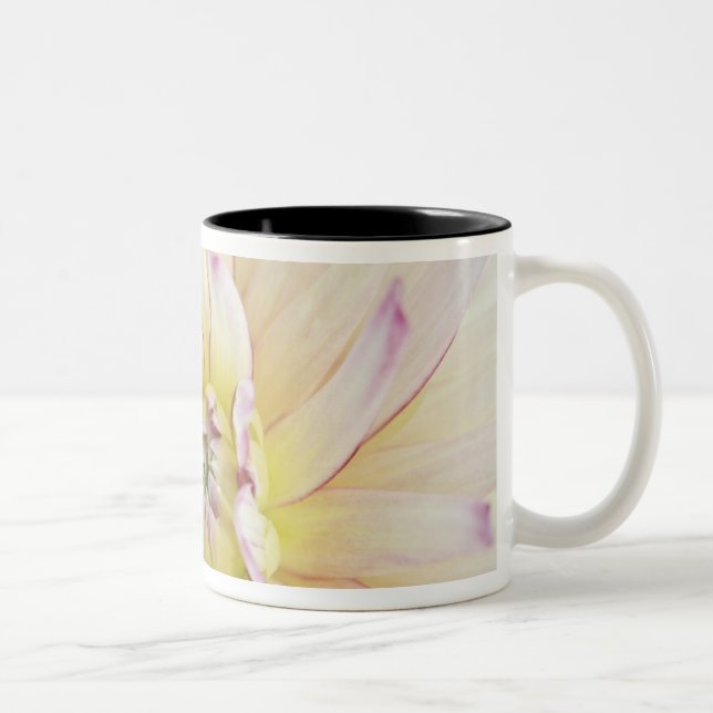 USA, Washington, Bellevue, Bellevue Botanical 2 Två-Tonad Mugg (Höger)