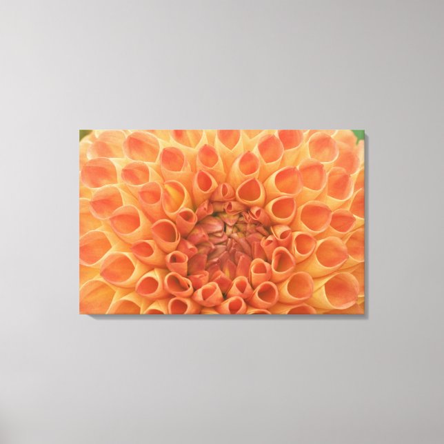 USA, Washington, Bellevue, Bellevue Botanical 3 Canvastryck (Framsida)