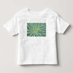 USA, Washington, Bellevue, Bellevue Botanisk 4 Tee Shirt