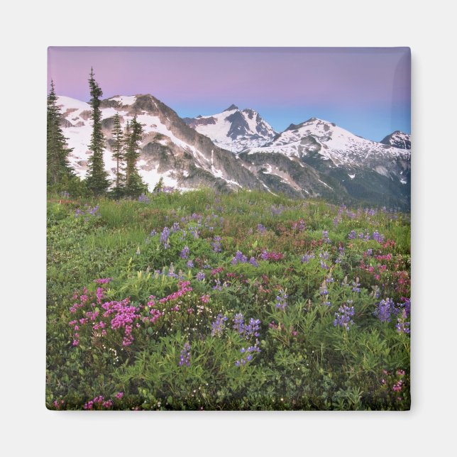 USA, Washington, Cascade Mountain, norra Magnet (Framsidan)