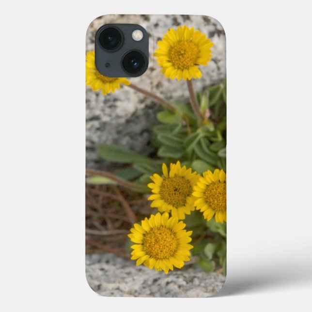 USA, Washington, Cascade Range 5 (Baksida)