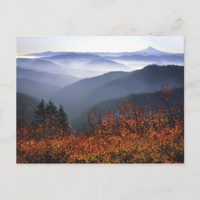 USA, Washington, Columbia River Gorge National Vykort (Framsida)