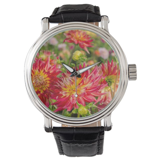 USA, Washington. Dahliablommor i trädgården Armbandsur (Framsida)