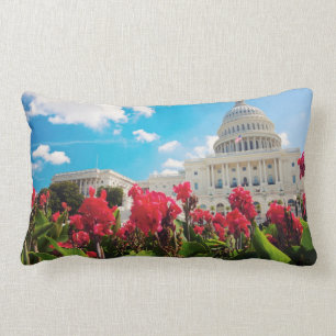 USA, Washington DC, Capitol Building Lumbarkudde