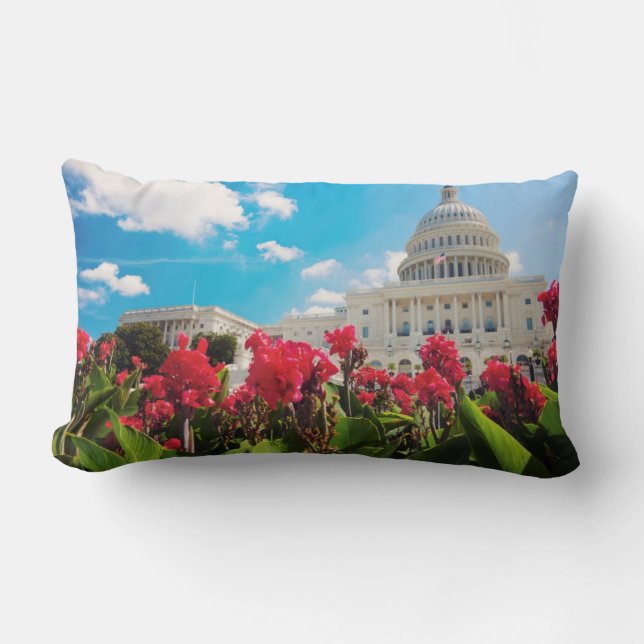 USA, Washington DC, Capitol Building Lumbarkudde (Framsida)