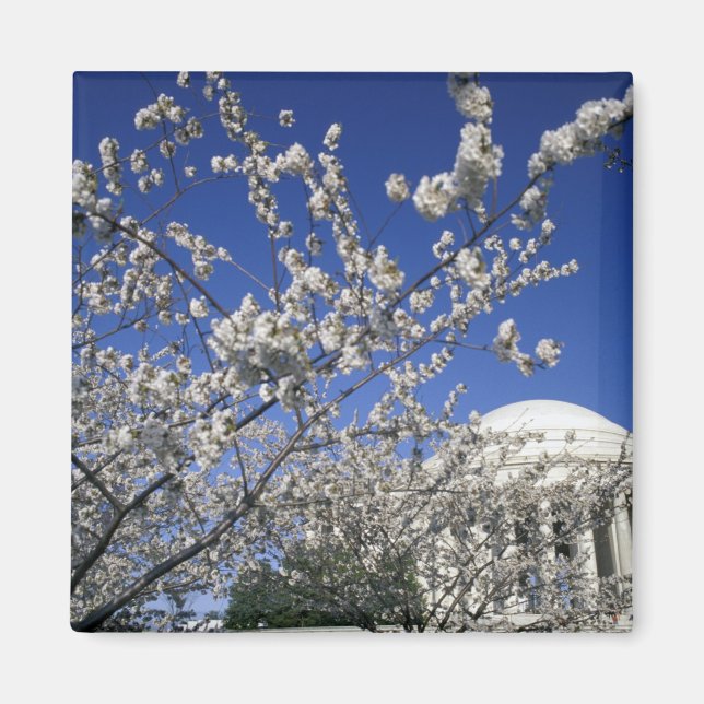 USA, Washington DC. Cherry Blossom Festival och 2 Magnet (Framsidan)