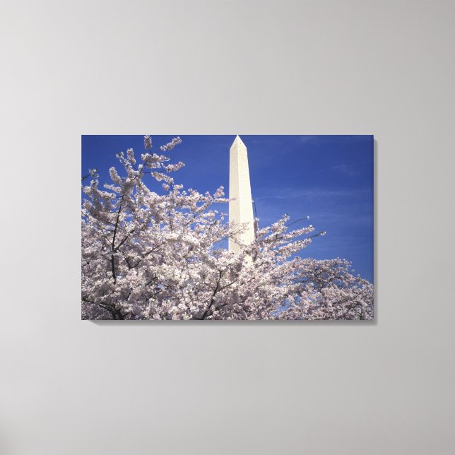 USA, Washington DC. Cherry Blossom Festival och Canvastryck (Framsida)