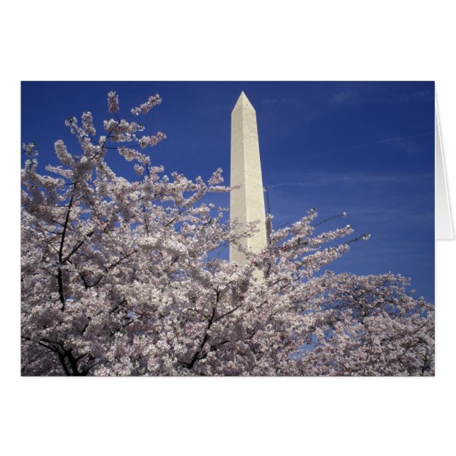 USA, Washington DC. Cherry Blossom Festival och Hälsningskort (Framsidan Horizontal)