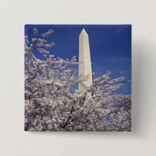 USA, Washington DC. Cherry Blossom Festival och Knapp