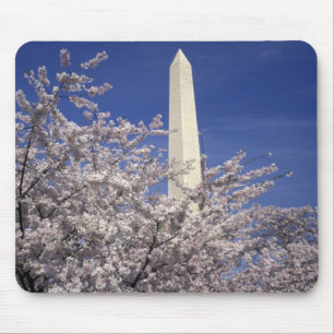USA, Washington DC. Cherry Blossom Festival och Musmatta
