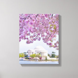 USA, Washington DC, Cherry träd i blomning Canvastryck