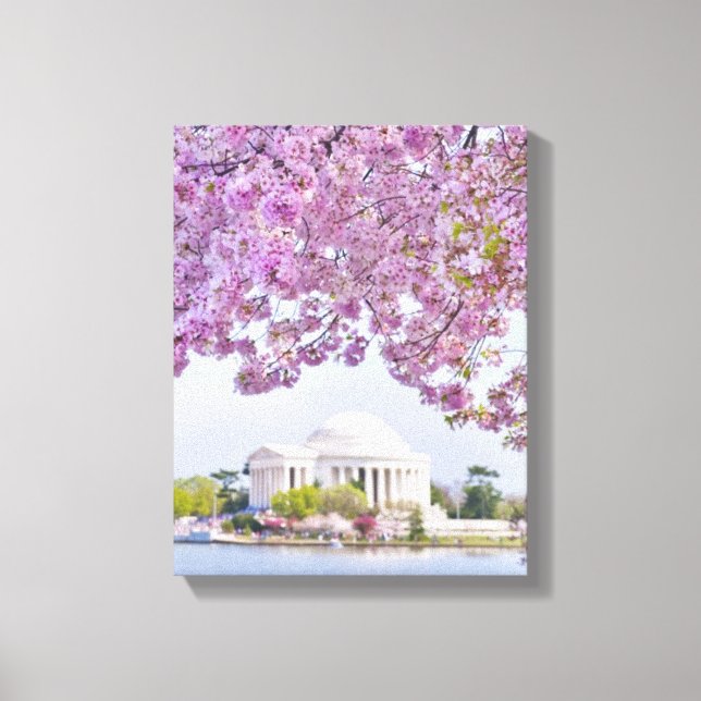 USA, Washington DC, Cherry träd i blomning Canvastryck (Framsida)