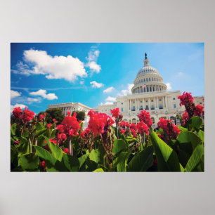 USA, Washington DC, Huvudstad Byggnad Poster