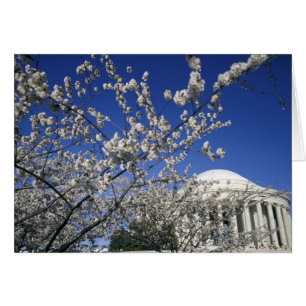 USA, Washington DC. Körsbärsblomfestivalen och 2 Hälsningskort