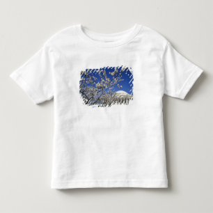 USA, Washington DC. Körsbärsblomfestivalen och 2 T Shirt