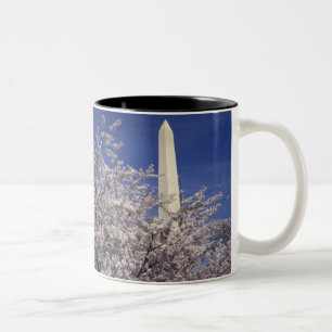 USA, Washington DC. Körsbärsblomfestivalen och Två-Tonad Mugg