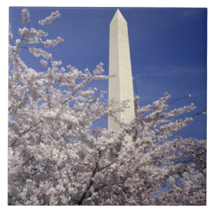 USA, Washington DC. Körsbärsblommarfestivalen och Kakelplatta