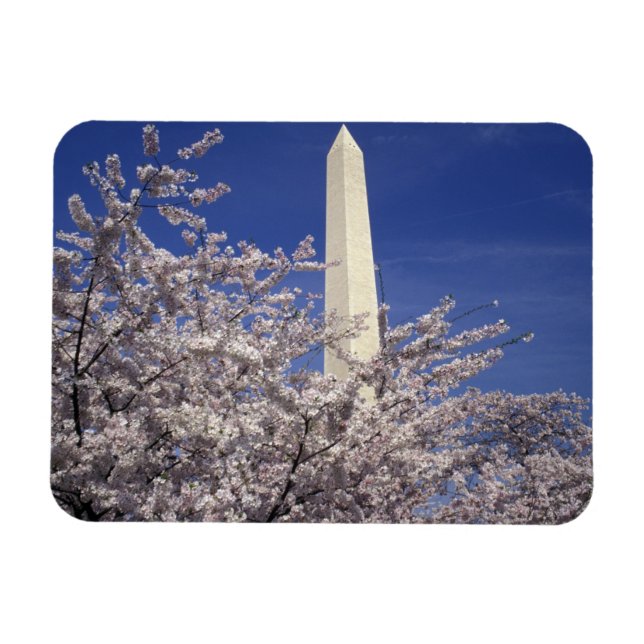 USA, Washington DC. Körsbärsblommarfestivalen och Magnet (Horisontell)