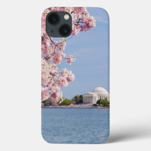 USA Washington DC, körsbärsrött träd