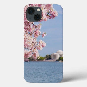 USA Washington DC, körsbärsrött träd