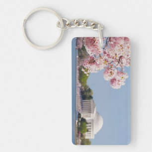 USA Washington DC, körsbärsrött träd
