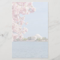 USA Washington DC, körsbärsrött träd