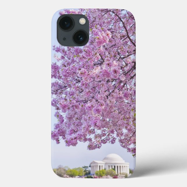 USA Washington DC, körsbärsrött träd i blom (Baksida)