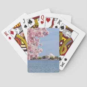 USA Washington DC, körsbärsrött träd Spel Kort