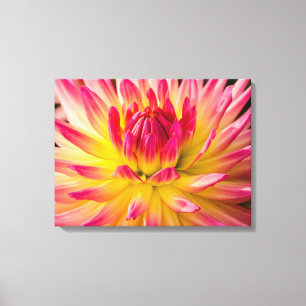 USA, Washington. Detalj av dahlia-blomma Canvastryck