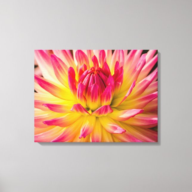 USA, Washington. Detalj av dahlia-blomma Canvastryck (Framsida)