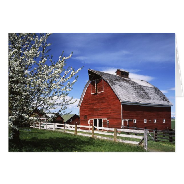 USA, Washington, Ellensburg, Barn Hälsningskort (Framsidan Horizontal)