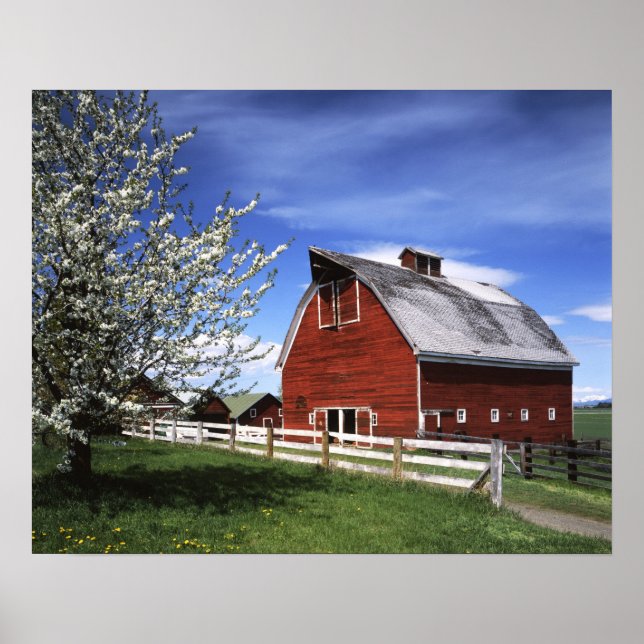 USA, Washington, Ellensburg, Barn Poster (Framsidan)
