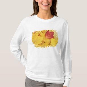 USA, Washington, Finch Arboretum, Röd och T Shirt