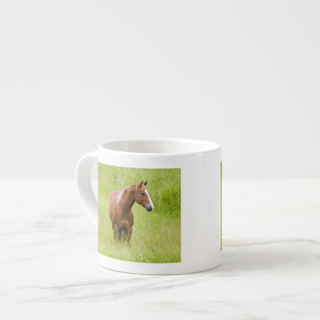 USA, Washington, Häst i vårfält, Espressomugg (Framsida vänster)