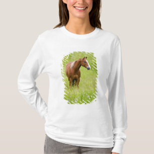 USA, Washington, Häst på vårfält, Tee Shirt