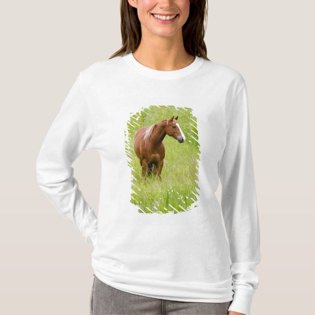 USA, Washington, Häst på vårfält, Tee Shirt (Framsida)
